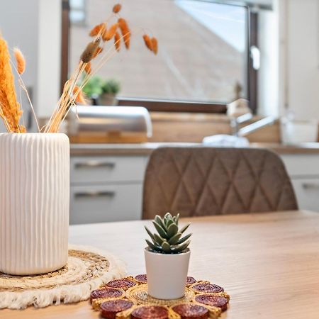 Anytime - Ferienwohnung Tina In Friedrichshafen Am Bodensee Eksteriør billede